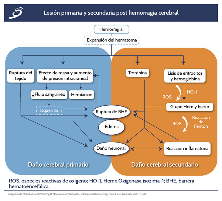 hemorragia secundaria